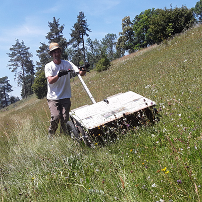 Landschaftspflege Saatgutgewinnung Mähgutgewinnung