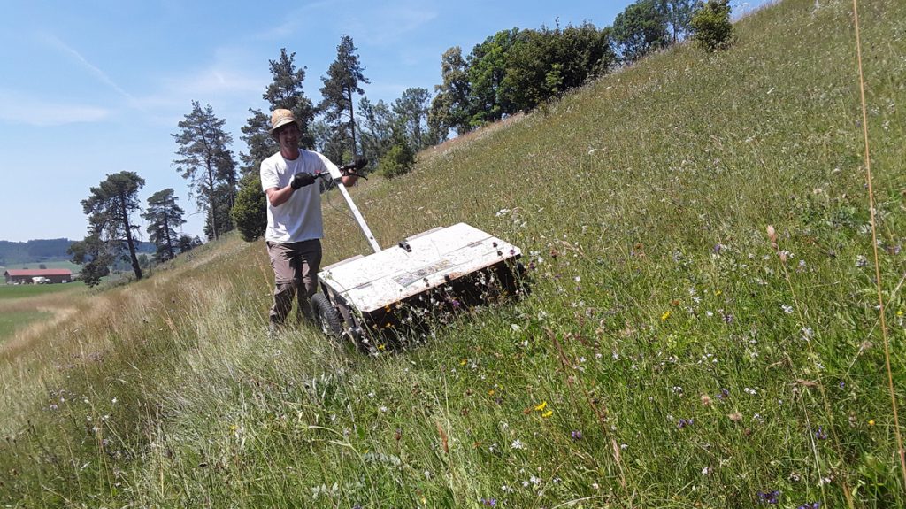Autochthones Saatgut leistet einen Beitrag zum Erhalt und der Förderung der Biodiversität und kann im Vergleich mit Pflanzengut aus unbekannter Herkunft bessere Anwuchsergebnisse erbringen.